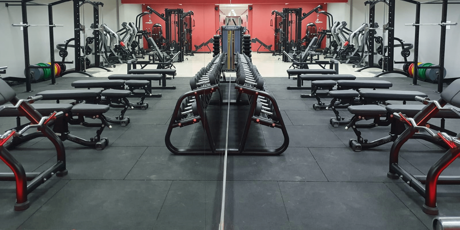 Interior sala de musculación Abfitness - gimnasio en Galicia